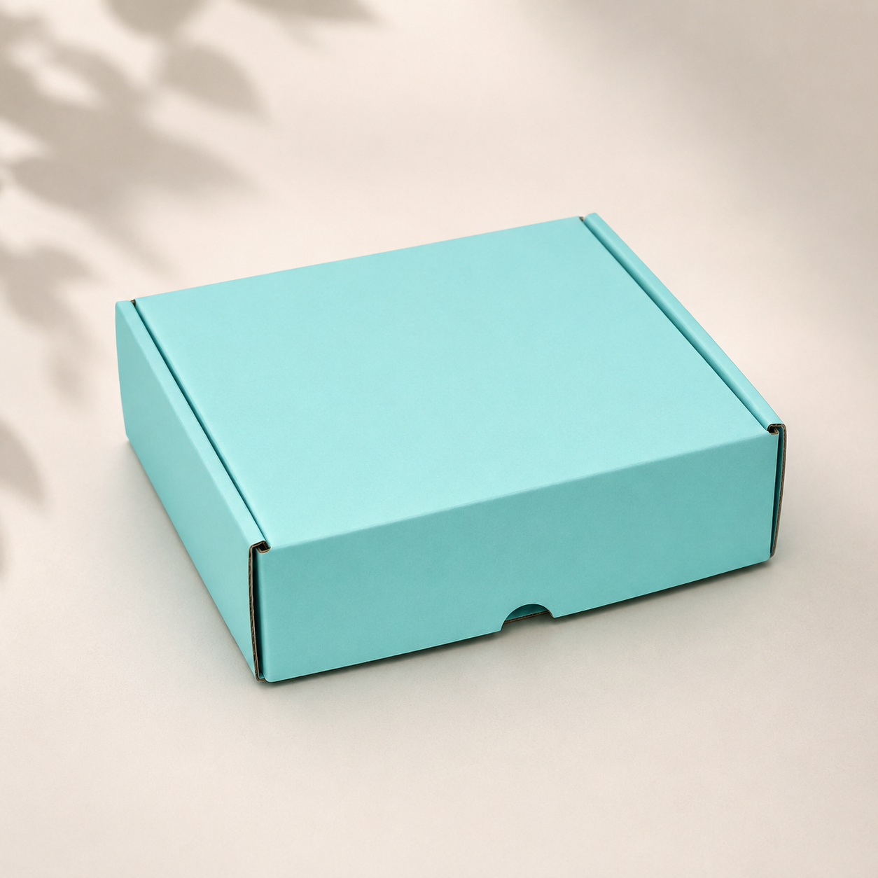 Sky Mailer Box